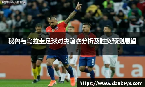 熊猫体育官网